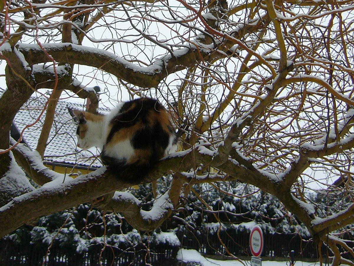 Valašské Meziříčí - Krhová